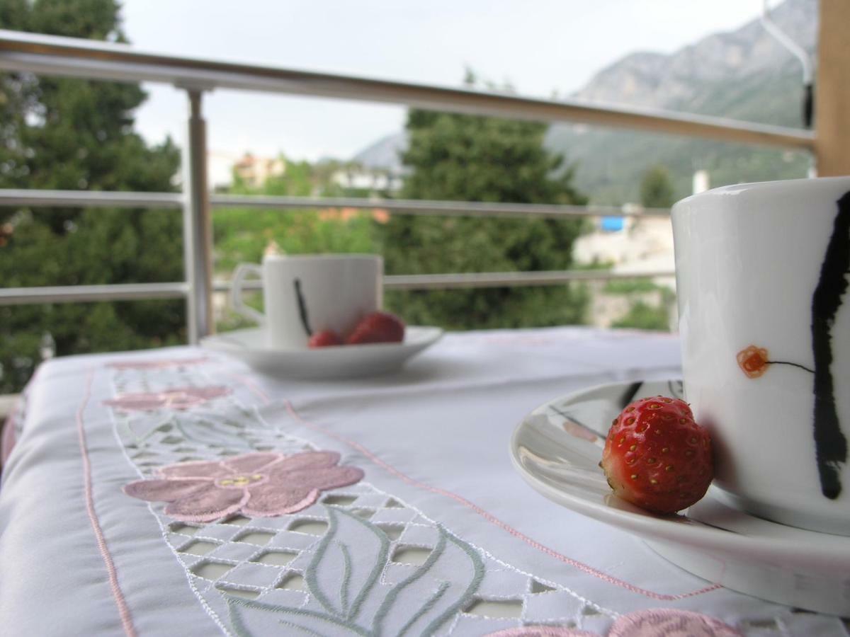 Musa Apartment Gradac  Luaran gambar